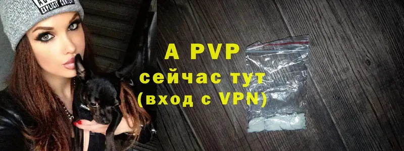 Alpha PVP СК КРИС Десногорск